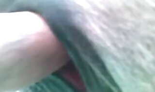 penis