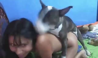 vids