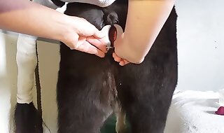 horny