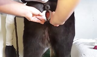 horny