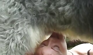 animal fuck