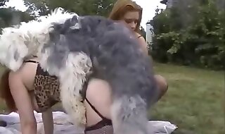 animal fuck