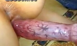 zoo dick