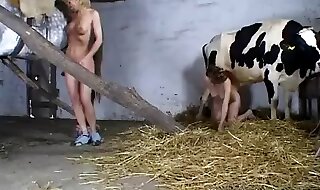 animal sex
