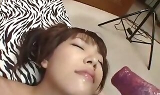 zoo girl porno
