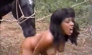 beastiality porn