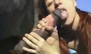 bitch