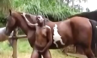 animal sex