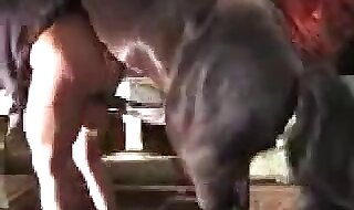 free zoo porno