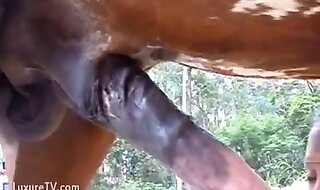 slut