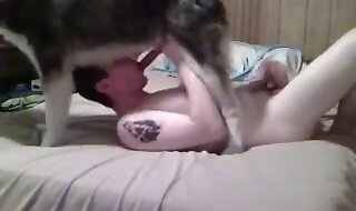 animal sex