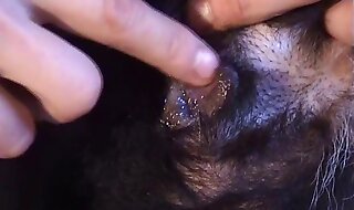 beastiality porn