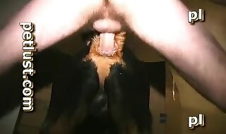 beastiality porn