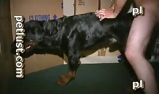 beastiality porn