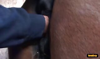 zoo porn