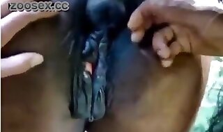 fingers