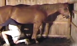 porno horse