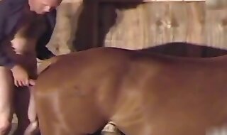 porno horse
