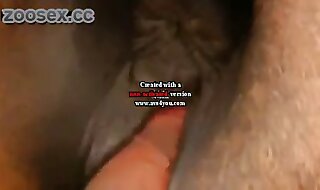 really porn