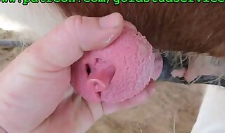 masturbated