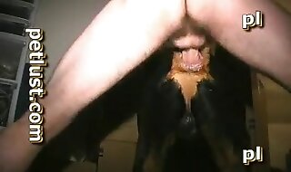 zoo porn