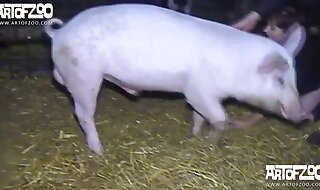 animal sex