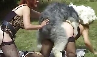 amateurs
