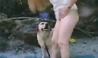 gifs
