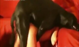 zoo sex hd