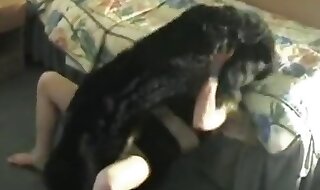 hard sex