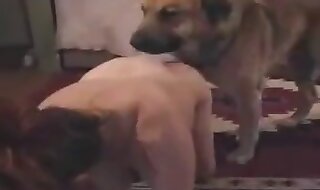milf and animal
