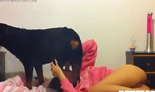 zoo movie