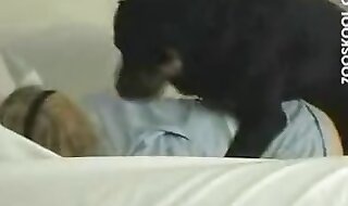 closeups sex