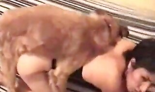 zoo pussy