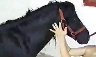 zoo sex hd