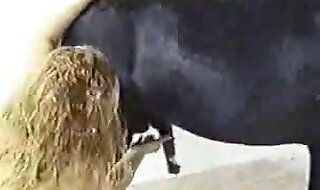 zoo sex hd