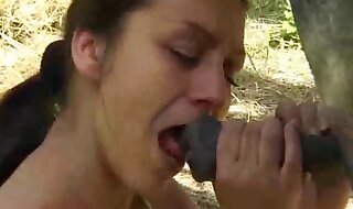 zoo vid