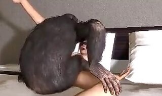 Porno zoo and bestiality