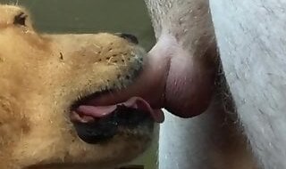 XXXVideosZoo