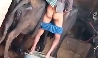 ZooFreePorn